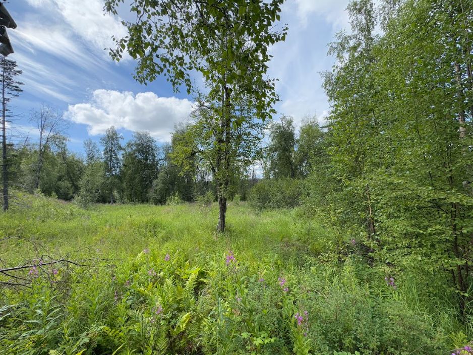 5 Acres of Peace and Quiet in Talkeetna, AK