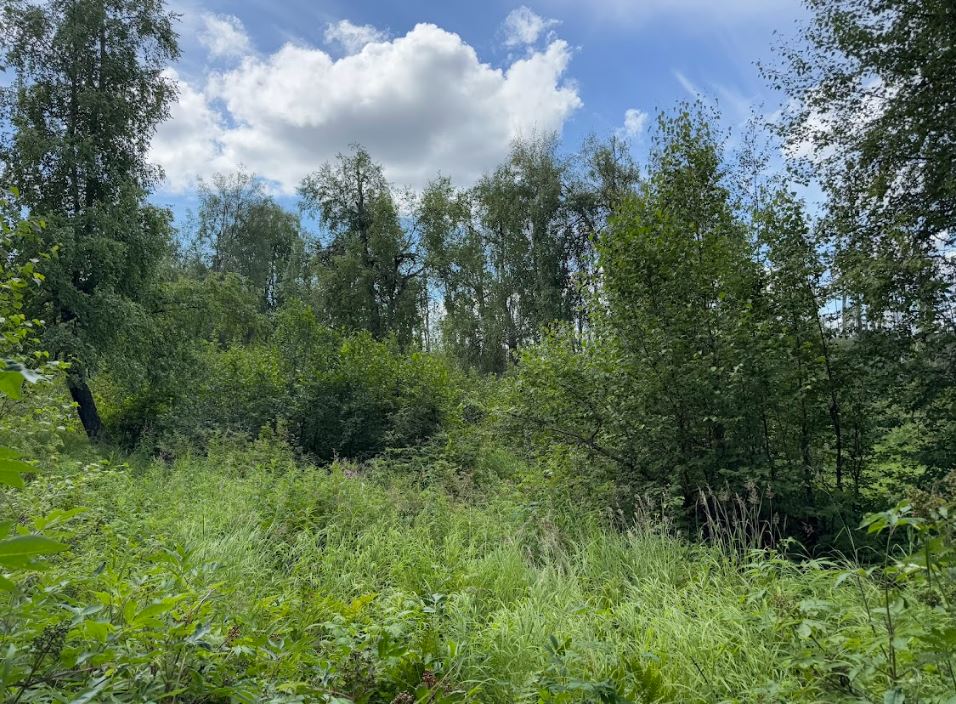 5 Acres of Peace and Quiet in Talkeetna, AK