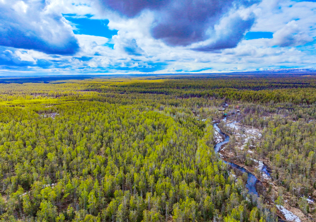 127 Acre Recreation Heaven: Moose Creek Runs Right Through!