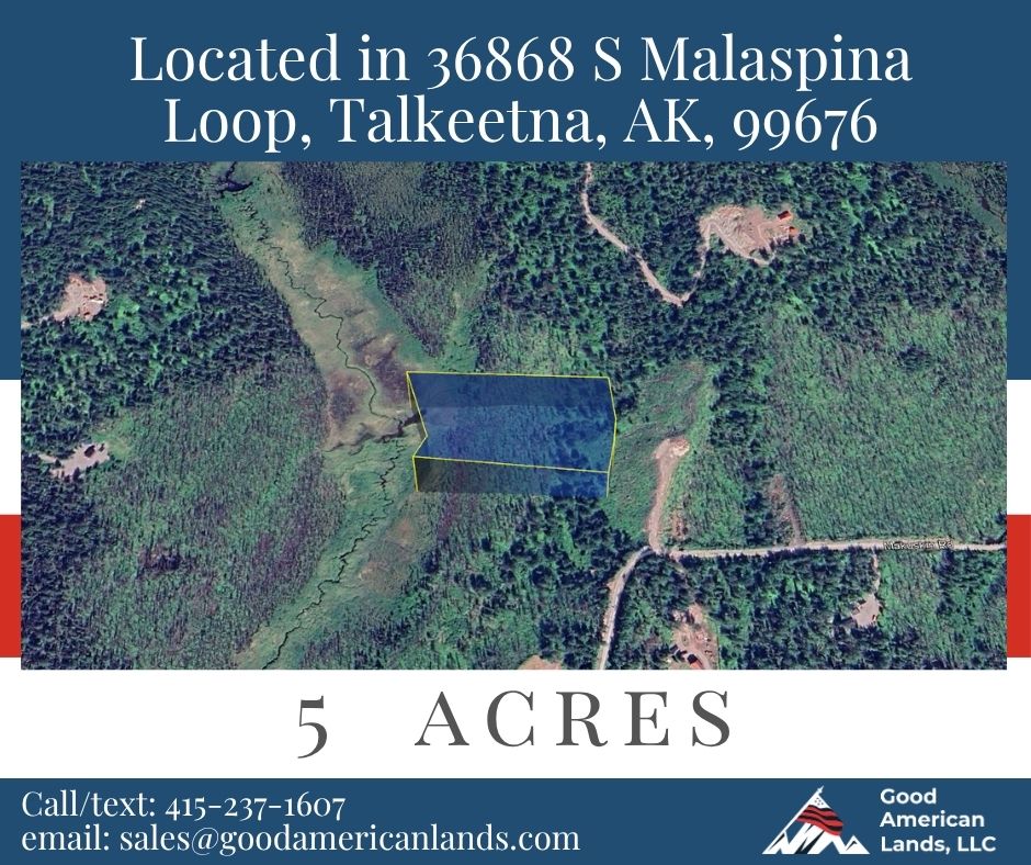 5 Acres of Peace and Quiet in Talkeetna, AK