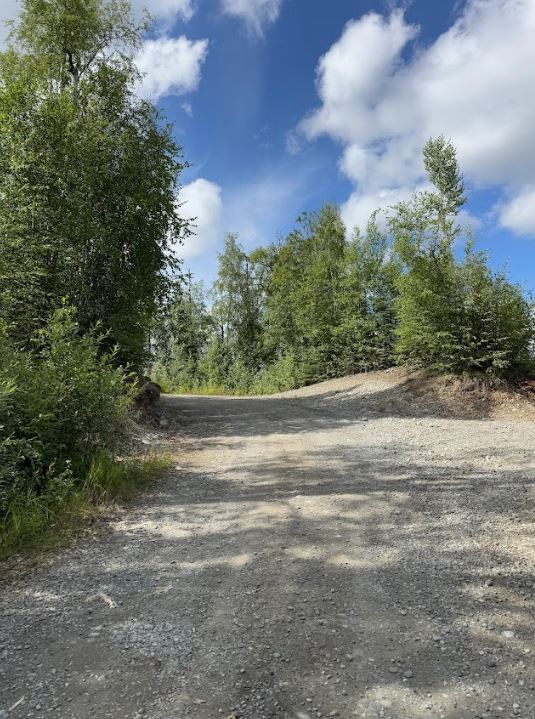 5 Acres of Peace and Quiet in Talkeetna, AK