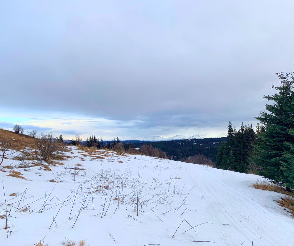 5 Acres in Homer, AK with Rural Unrestricted Zoning for Sale