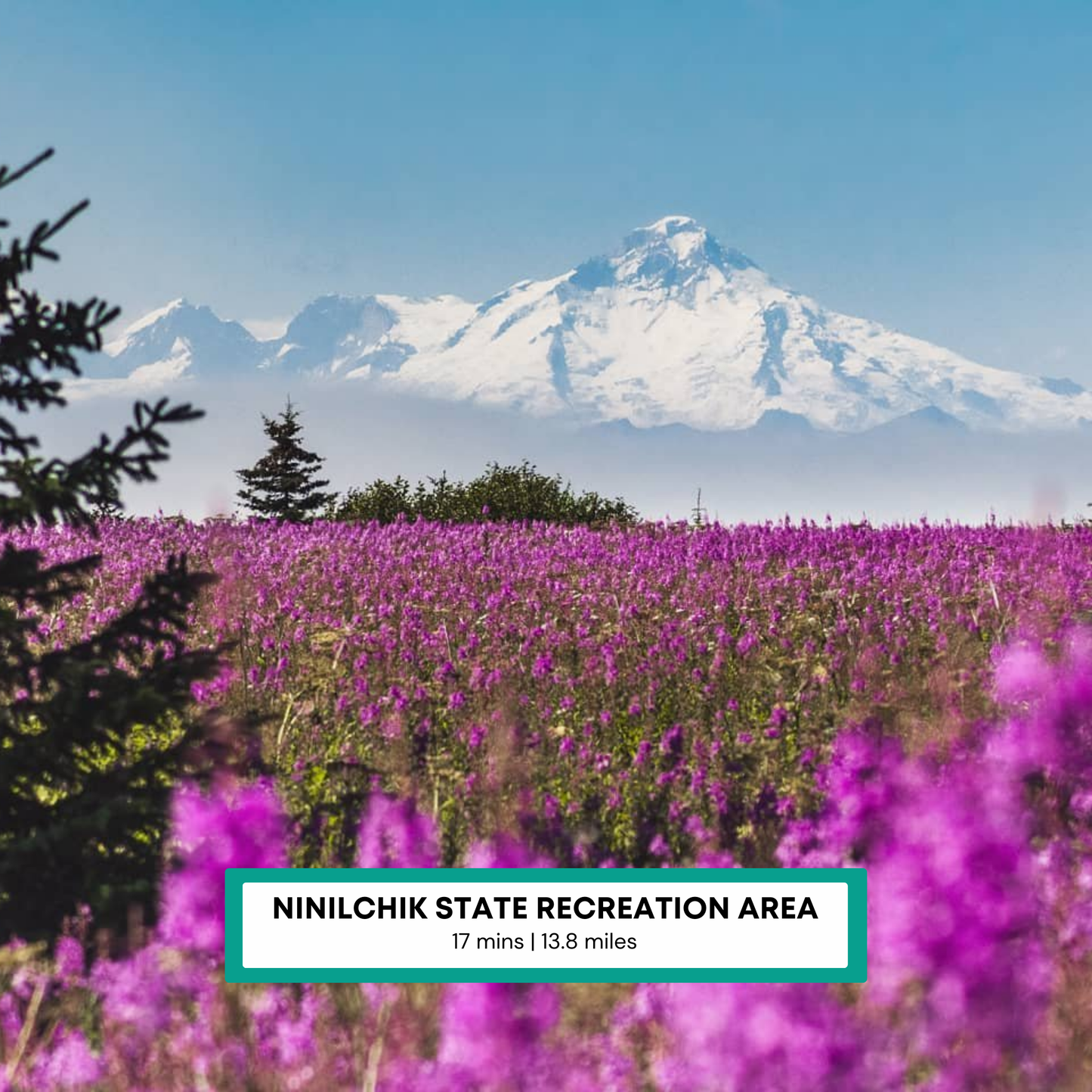 8.59 Acres of Unrestricted Alaskan Land: Build Your Dream Home or Retreat in Clam Gulch!