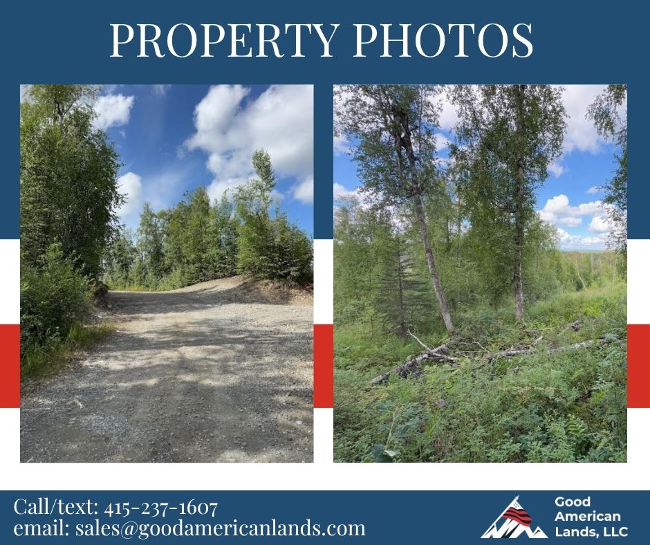 5 Acres of Peace and Quiet in Talkeetna, AK