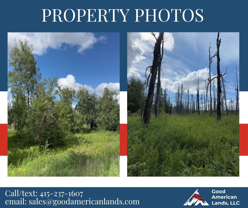 5 Acres of Peace and Quiet in Talkeetna, AK
