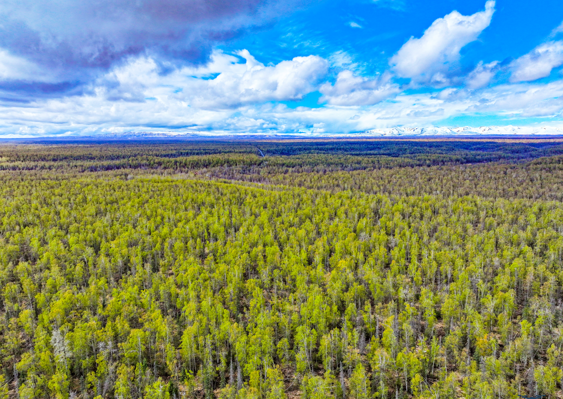 127 Acre Recreation Heaven: Moose Creek Runs Right Through!