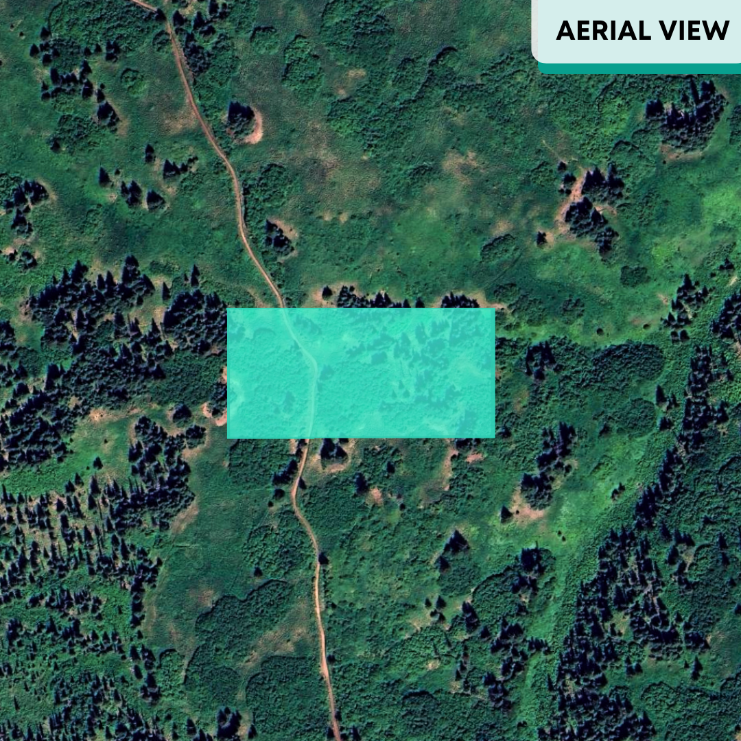 5 Acres in Homer, AK with Rural Unrestricted Zoning for Sale