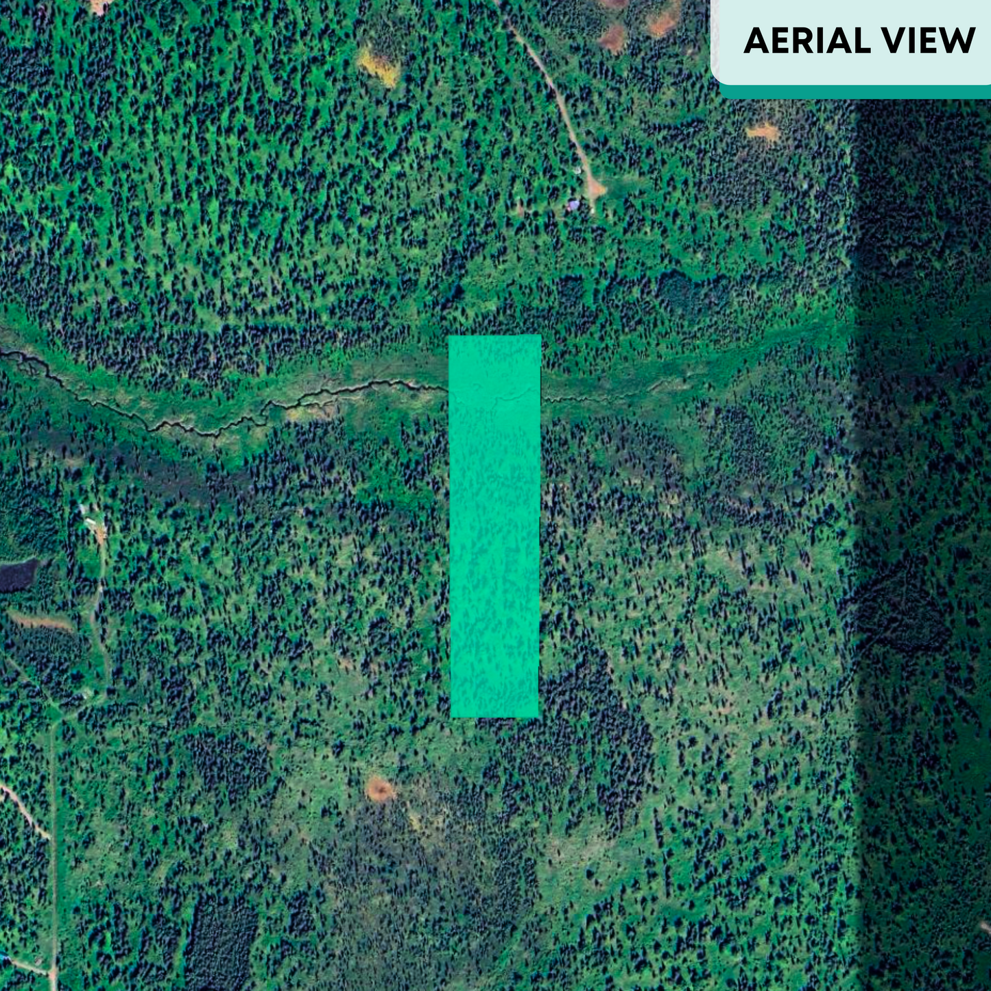 Unrestricted 8.59-Acre Alaskan Paradise in Clam Gulch – Build Your Dream