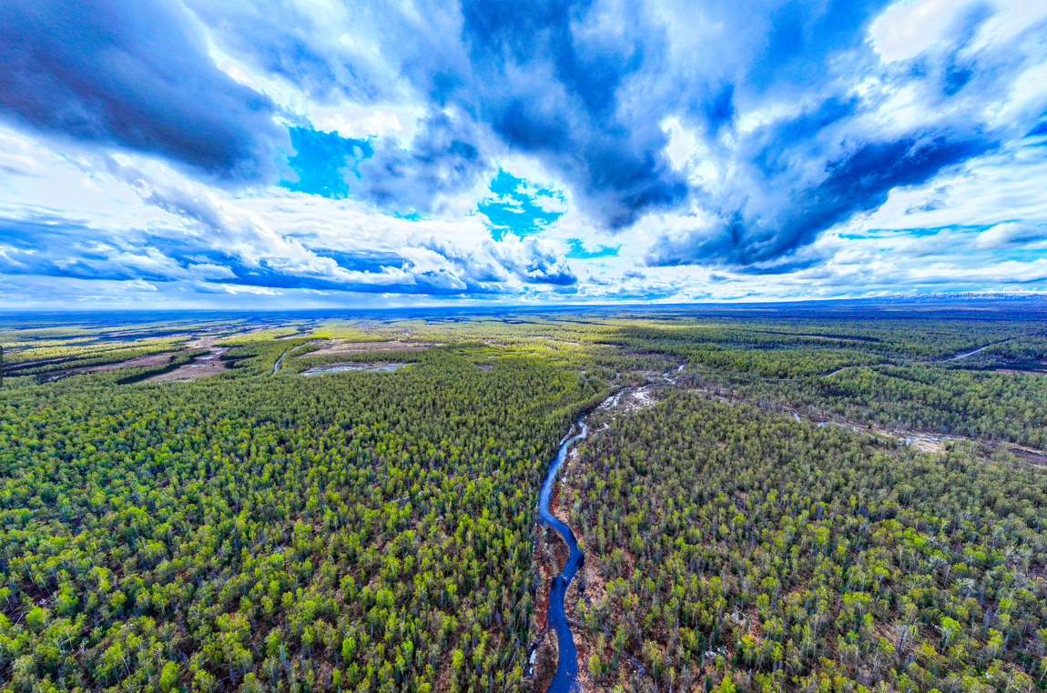 127 Acre Recreation Heaven: Moose Creek Runs Right Through!