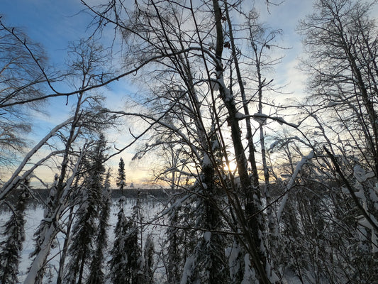 Alaska-land-for-sale