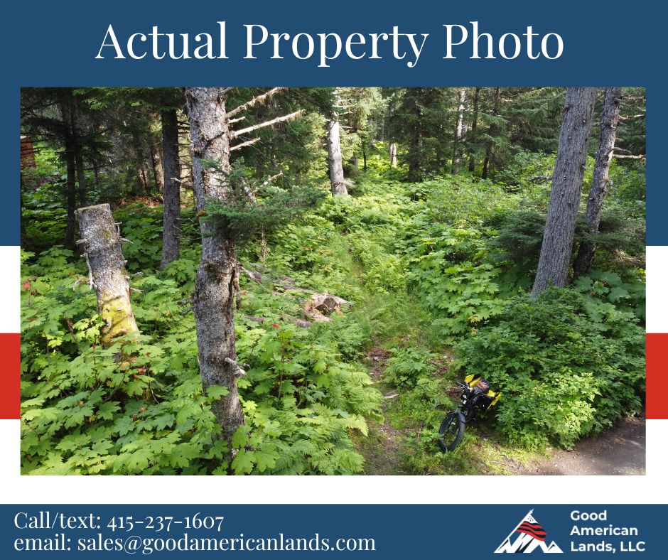 🌲7.23 Acres of Oceanview Land in  Seldovia, AK🌲