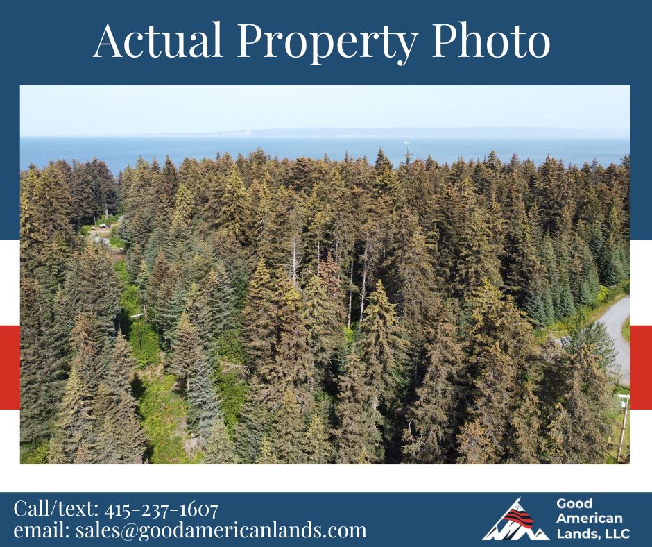 🌲7.23 Acres of Oceanview Land in  Seldovia, AK🌲