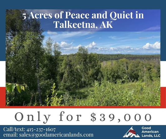 5 Acres of Peace and Quiet in Talkeetna, AK