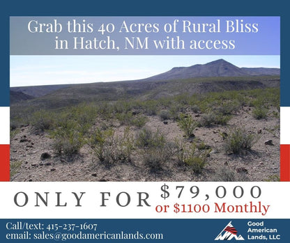 🌵Grab this 40 Acres of Rural Bliss in Hatch, NM with access🌵