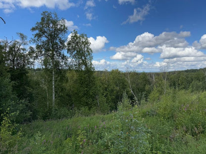 5 Acres of Peace and Quiet in Talkeetna, AK