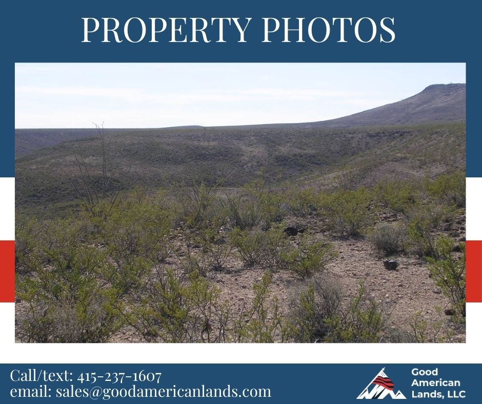 🌵Grab this 40 Acres of Rural Bliss in Hatch, NM with access🌵