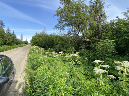 🌲Buy Land 1.52 Acres with A View in Nikiski, AK🌲