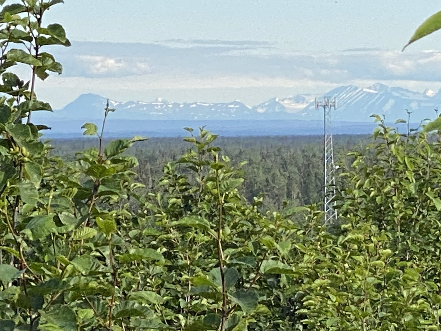 🌲Buy Land 1.52 Acres with A View in Nikiski, AK🌲