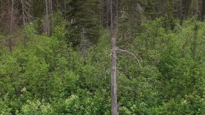 Peaceful 2.5 Acres – Flat Land  in Fairbanks North Star Borough