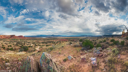 🌵Grab this 40 Acres of Rural Bliss in Hatch, NM with access🌵