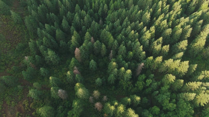 10.02 Acres - Wilderness Freedom: Where Silence Meets Space!