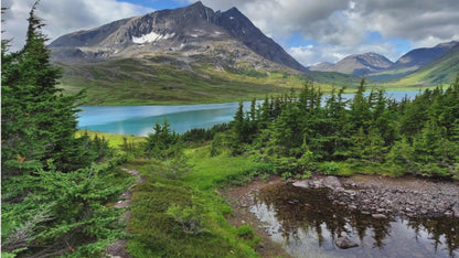 ✨Embrace the Call of the Majestic Woods of Talkeetna, AK✨